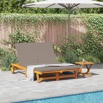 vidaXL Transat 2-personne Marron 125 x 200 x 84cm Bois d'acacia massif