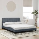 vidaXL Cadre de lit sans matelas gris foncé 160x200 cm velours