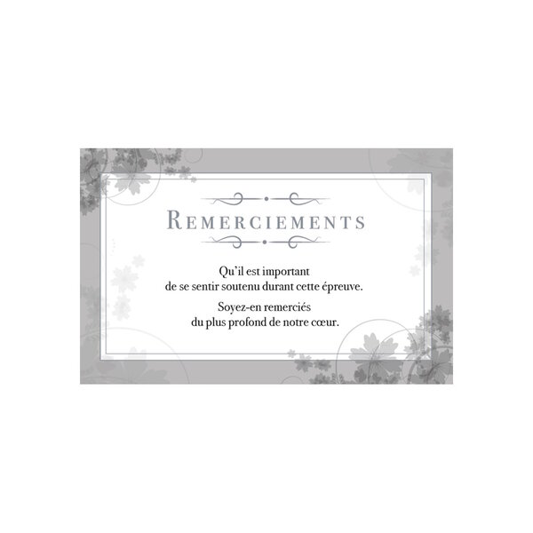 Carte De Voeux - Condoléances - 5 Cartes Remerciements Deuil