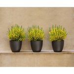 PLASTIKEN Pot de fleurs bol Tes - 22 cm - Bronze