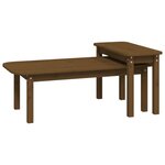 vidaXL Ensemble de tables basses 2 Pièces Marron miel Bois massif de pin