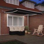 vidaXL Auvent Rétractable Noir 350 x 250 cm Polyester et métal