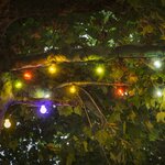 KONSTSMIDE Guirlande lumineuse avec 20 ampoules Multicolore
