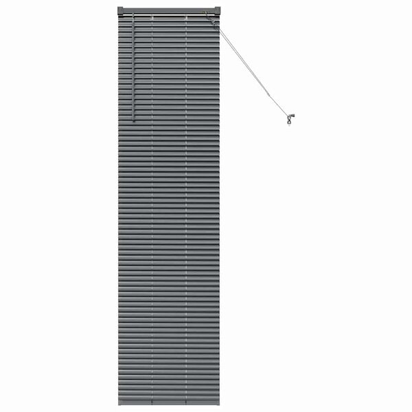 vidaXL Store de Fenêtre avec des rideaux Manuel Gris foncé Aluminium