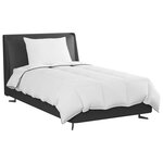vidaXL Duvet d'hiver avec oreiller 2 Pièces Blanc Plume de canard
