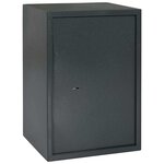 vidaXL Coffre-fort Gris foncé RAL7016 31 x 35 x 50 cm Acier