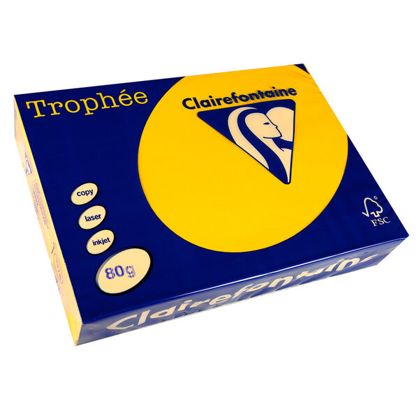 Ramette 500 Feuilles Papier 80g A4 210x297 mm tournesol TROPHÉE