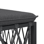 vidaXL Salon de jardin avec coussins 2 Pièces anthracite acier