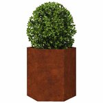 vidaXL Jardinières 2 Pièces hexagone 46x40x45 cm acier patinable