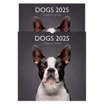 Grand Calendrier Mural 29x29 Cm - 2025 - Chiens - Draeger paris