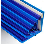 Trieur 9C Dos ext.FOREVER Bleu France EXACOMPTA