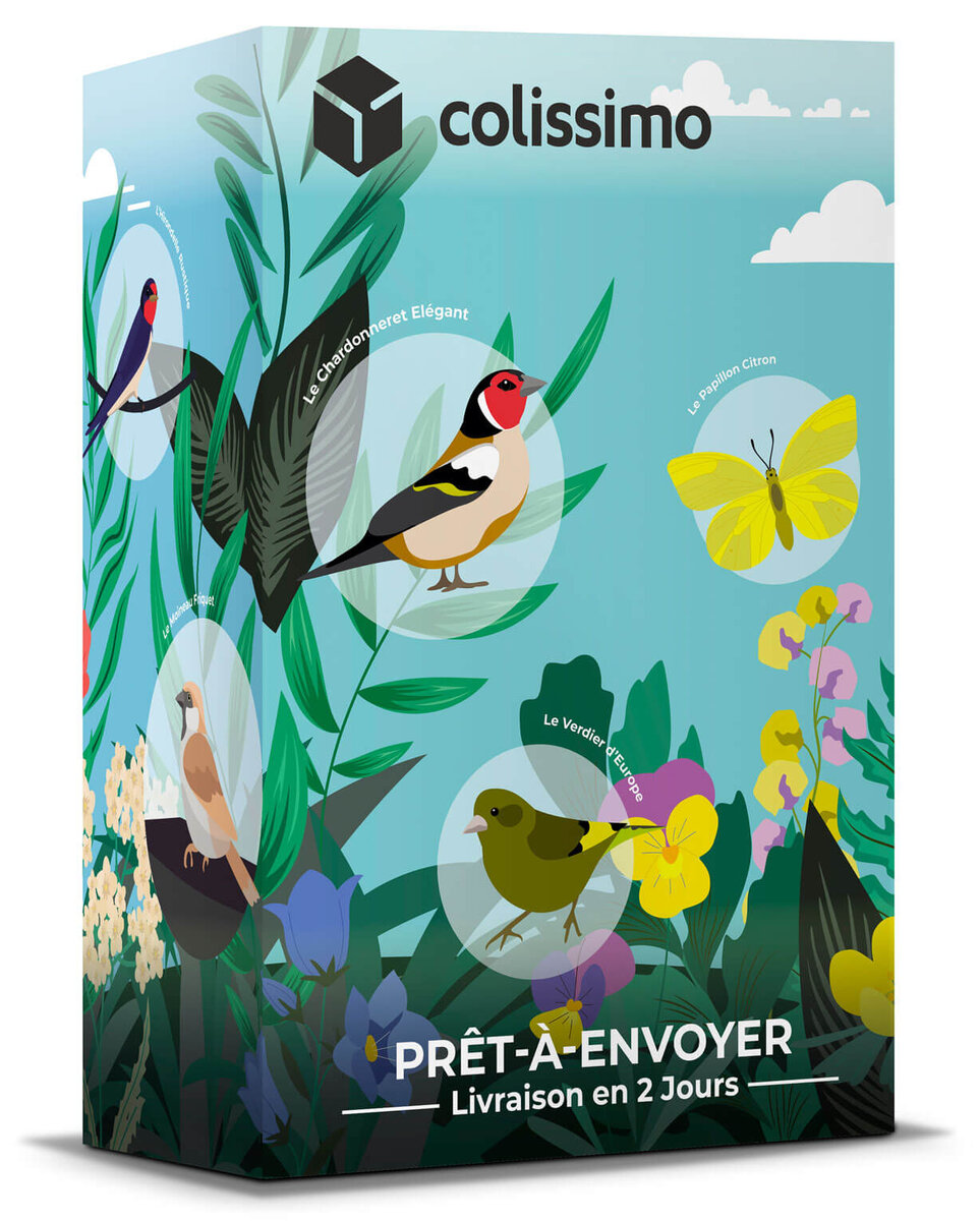 Colissimo PrêtàEnvoyer France Boîte L 5 kg Série limitée pour la Ligue de protection des