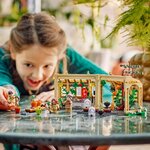 LEGO Harry Potter : Cours de Botanique au Château de Poudlard - Set 76445
