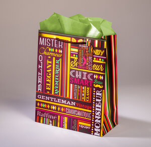 Sac cadeau dandy gm l 26 x h 32,5 typo