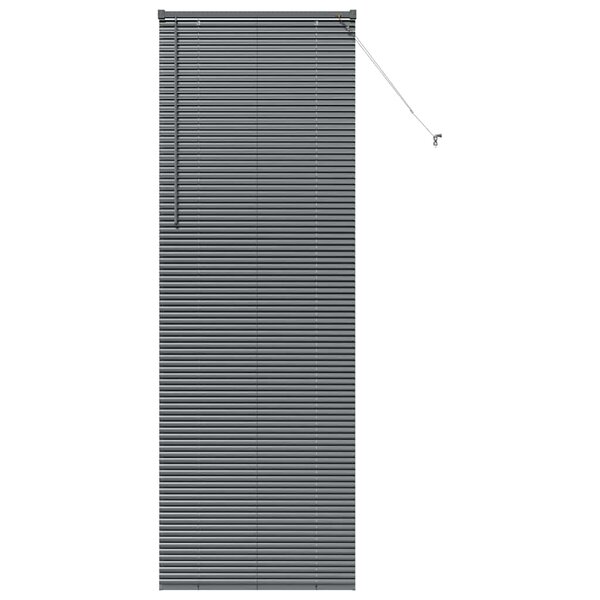 vidaXL Store de Fenêtre avec des rideaux Manuel Gris foncé Aluminium