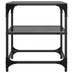 vidaXL Tables basses avec dessus en verre noir 2 Pièces 40x40x45 cm acier