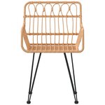 vidaXL Chaises de jardin lot de 2 accoudoir 56x64x80 cm Résine tressée