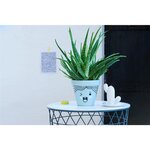 Marqueur Peinture Brillante 750 Pointe Ronde Noir 2-4 mm x 10 EDDING