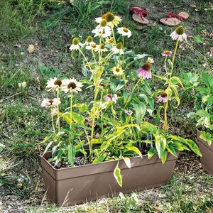 DEROMA Jardiniere Ninfea R camel a réserve d'eau - Coloris taupe - 60cm