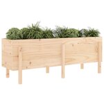 vidaXL Lit surélevé de jardin 160x50x57 cm bois de pin massif