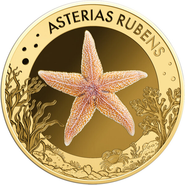 Monnaie COMMON STARFISH Sea Creatures 1/1000 Oz Or 3000 Francs Chad (PRÉCOMMANDE)