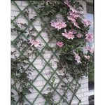 Nature Palissade de jardin 100 x 200 cm PVC Vert