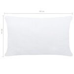 vidaXL Garnitures de coussin 2 Pièces 60x40 cm Blanc