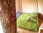 SMARTBOX - Coffret Cadeau - Escapade insolite en cabane dans les arbres en Normandie -