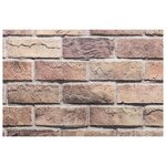 vidaXL Panneaux muraux 3D 10 Pièces marron 100x50 cm EPS