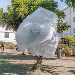 Voile d'hivernage - Blanc - Dimensions : 1 m x 10 m