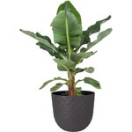 POT HAVANA TROPICAL 50CM VULCAIN