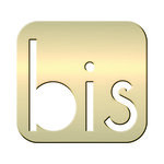 N° BIS en Laiton  adhésif puissant  50 mm x 2 mm