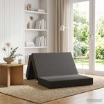 vidaXL Canapé-lit pliable 100 x 67 x 45 cm Gris foncé