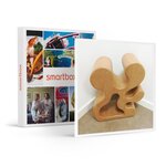 SMARTBOX - Coffret Cadeau Atelier éco-responsable de création d'objet décoratif à base de carton recyclé -  Sport & Aventure