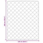 vidaXL Couette d'été 220 x 260 cm Été Crème Respirant