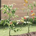 vidaXL Supports de plantes en spirale 5 Pièces Acier galvanisé 170 cm