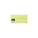Lot de 20 enveloppes Clairefontaine auto-adhésives 11x22 cm 120g, Vert bourgeon
