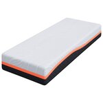 vidaXL Matelas Blanc et Gris 70 x 200 cm Mousse à Mémoire