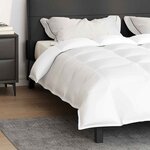 vidaXL Duvet 2-en-1 Blanc 200 x 220 cm Plume