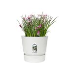 ELHO Pot de fleurs rond Greenville 30 - Extérieur - Ø 29,5 x H 27,8 cm - Blanc