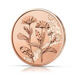Pièce de monnaie 10 euro Autriche 2022 – Souci