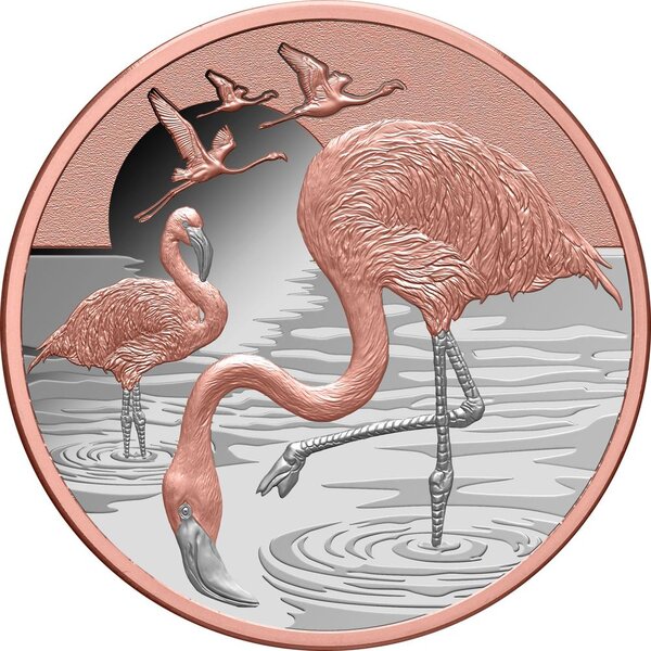 Pièce de monnaie en Argent 2 Dollars g 31.1 (1 oz) Millésime 2025 FLAMINGO