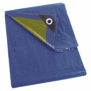 Perel Bâche  résistant  22 œillets  angles renforcés  rectangulaire  bleu/vert  110 g/m²  5 x 6 m