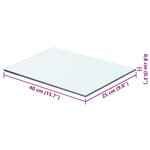 vidaXL Panneau pour étagère Verre transparent 40 x 25 cm