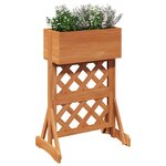 vidaXL Trellis de jardin vertical Orange 48 x 30 x 70 5 cm