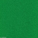 Papier Vert éternel Poudre paillettes 200 g/m² 30 5 cm