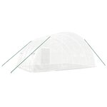 vidaXL Serre avec cadre en acier blanc 24 m² 6x4x2 85 m