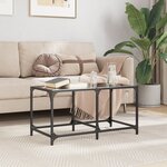 vidaXL Table basse avec dessus en verre noir 78 5x40x40 cm acier