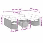 vidaXL Ensemble canapé de jardin 10 pièces avec coussins en poly rotin acacia beige