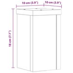 vidaXL Supports pour plantes 2 Pièces noir 10x10x18 cm bois d'ingénierie